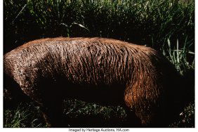 39086&colon; Miguel Rio Branco &lpar;Spanish&comma; b&period; 1963&rpar; Santa Terez