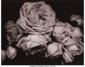 39094&colon; Edward Steichen &lpar;American&comma; 1879-1973&rpar; Heavy Rose
