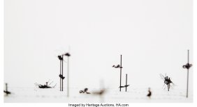 39112&colon; Anne Wilson &lpar;b&period; 1949&rpar; Amble&period;217 &lpar;Still from Erra