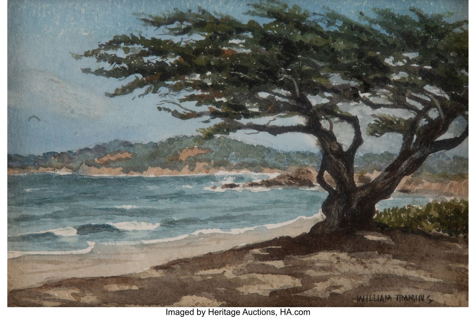 William Frederick Timmins (American, 1915-1985): William Frederick Timmins (American, 1915-1985) Tree on the beach, Carmel, California Watercolor on paper 4 x 6 inches (10.2 x 15.2 cm) (sight&