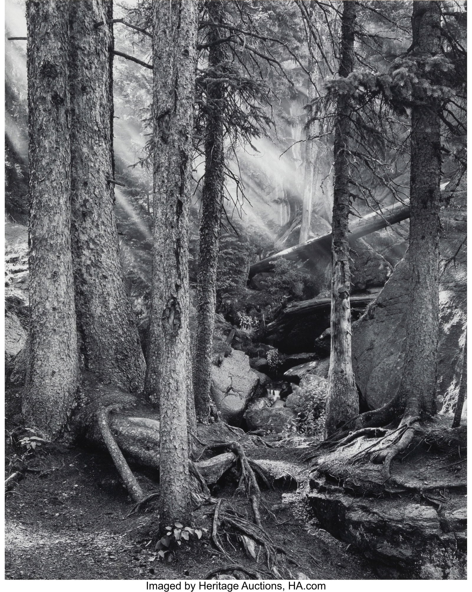 John Ward (American, b. 1943) Mist at Ouzel Fall: John Ward (American, b. 1943) Mist at Ouzel Falls, Rocky Mountain National Park, Colorado, 1970 Gelatin silver print, printed 1978 19 x 15-1/2 inches