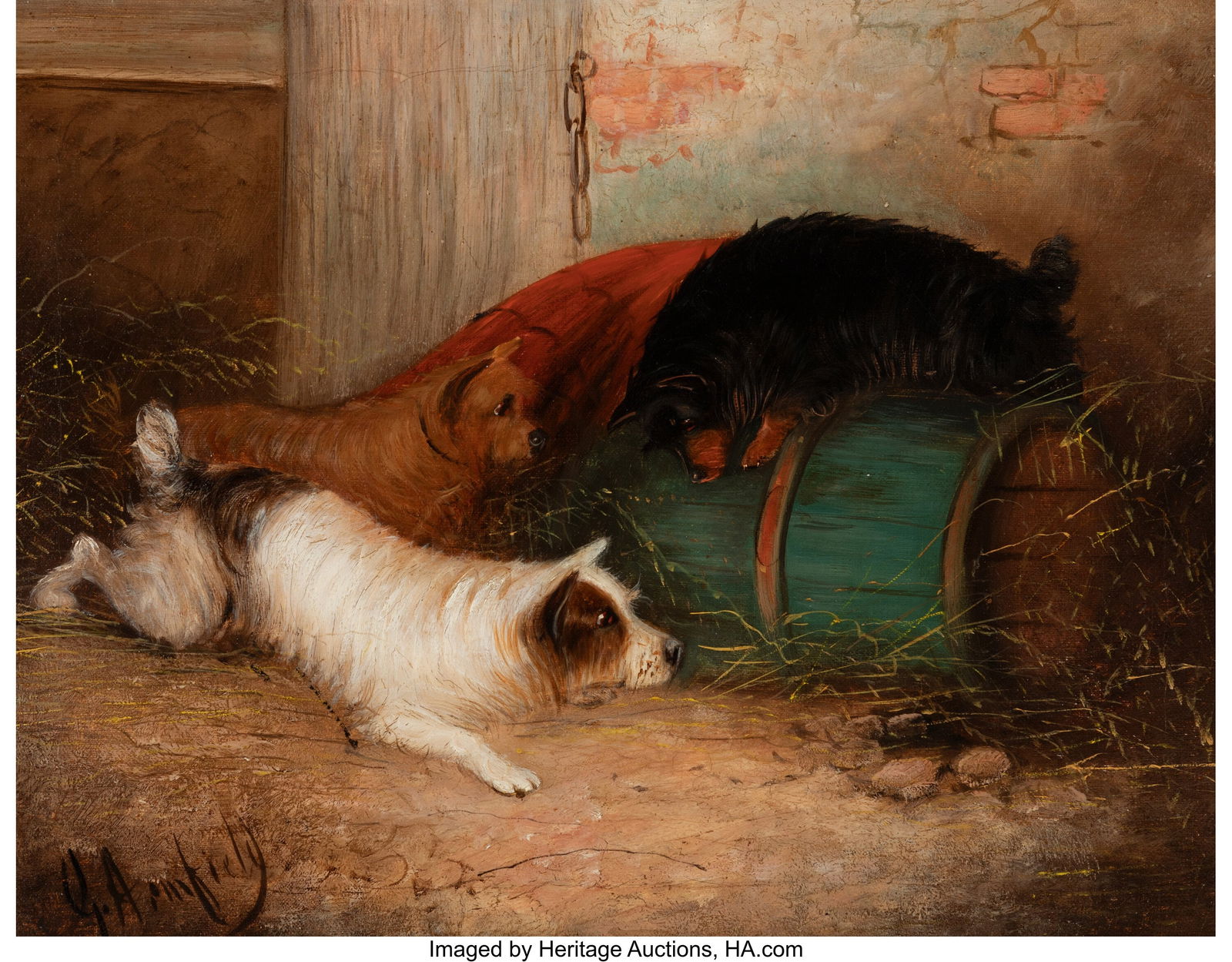 George Armfield (British, 1808-1893) Three terri: George Armfield (British, 1808-1893) Three terriers ratting in a barn Oil on canvas 14-1/4 x 18 inches (36.2 x 45.7 cm) Signed lower left: G. A