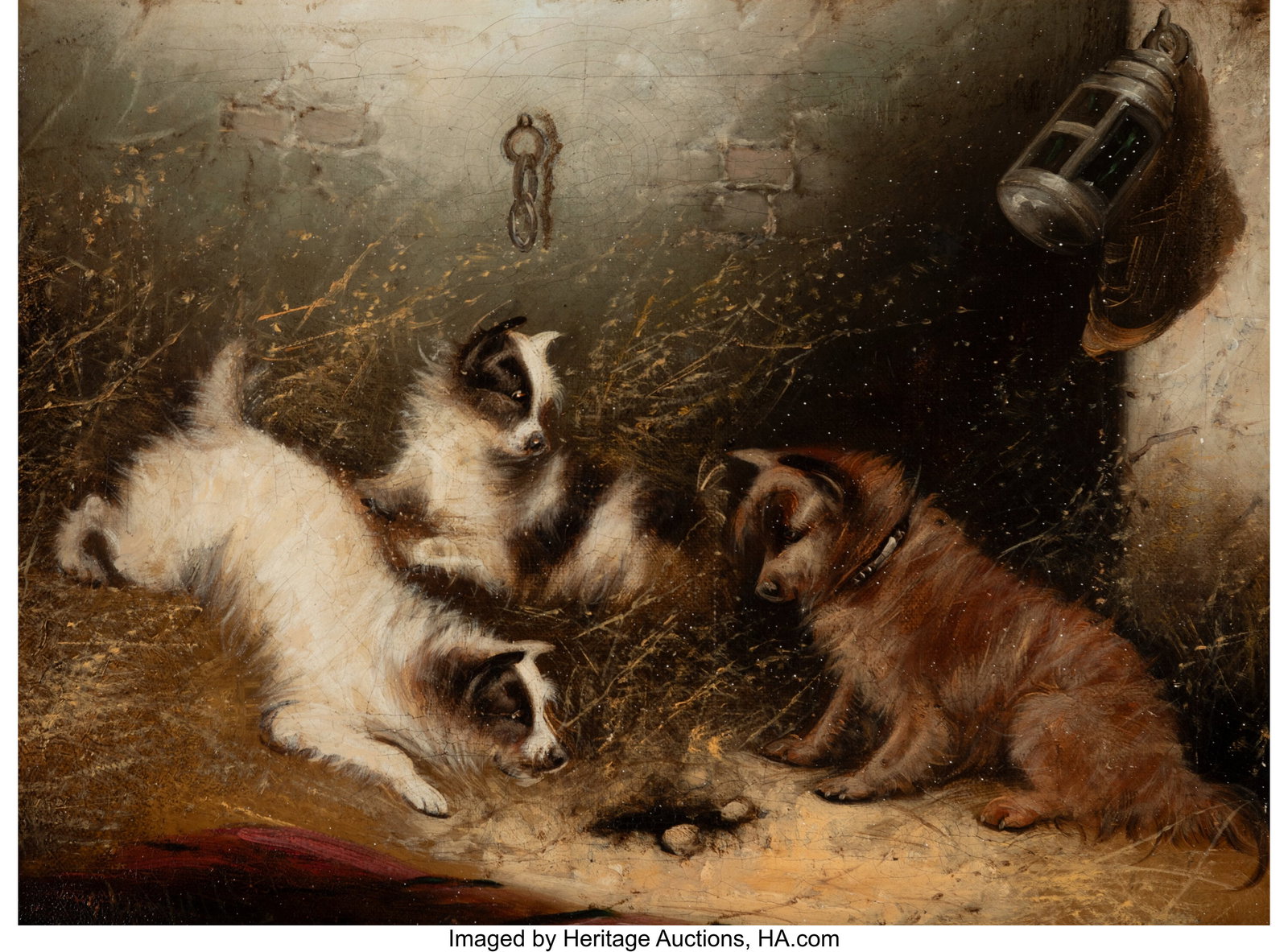 George Armfield (British, 1808-1893) Three terri: George Armfield (British, 1808-1893) Three terriers in a stable Oil on canvas 12 x 16 inches (30.5 x 40.6 cm) Signed lower left: G Armfield PROVENANCE&col