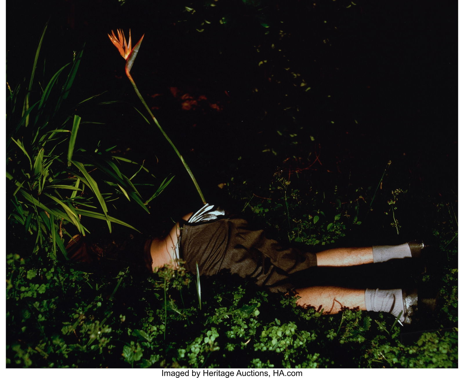 Naomi Fisher (20th century) Untitled (Bird of Pa: Naomi Fisher (20th century) Untitled (Bird of Paradise), 2000 Dye bleach print 20 x 26 inches (50.8 x 66.0 cm) (image/sheet) Credited&co