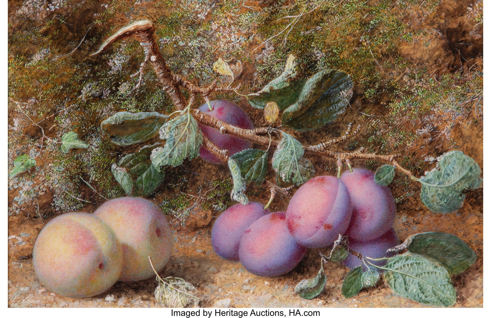 William Hough (British, 1819-1897) Study of peac (1 of 2)