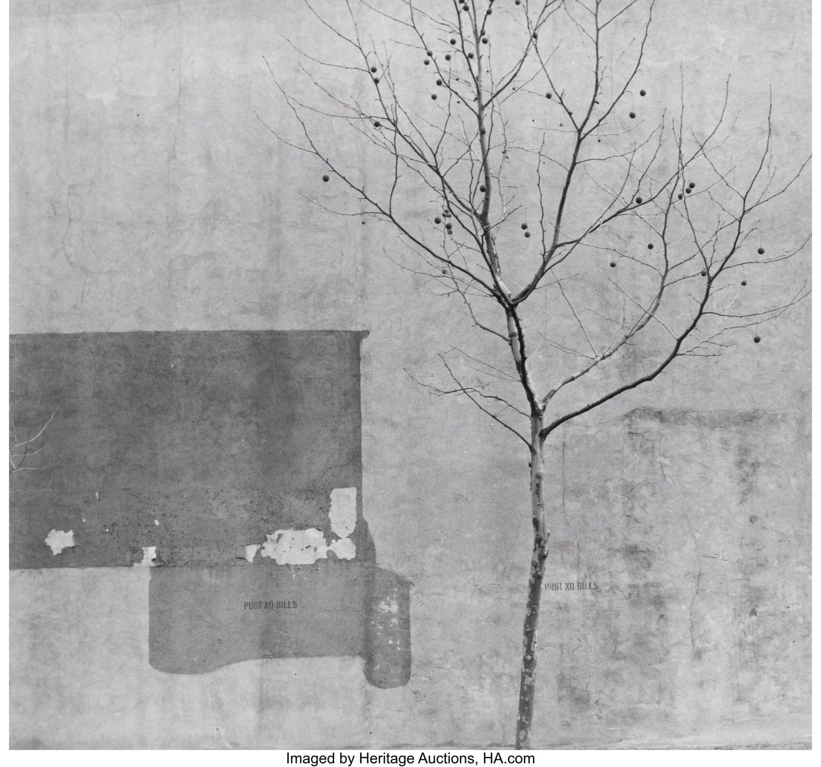 Arnold Newman (American, 1918-2006) Tree and Wal: Arnold Newman (American, 1918-2006) Tree and Wall, Philadelphia, 1941 Gelatin silver print, printed April 1998 7-3/4 x 8-1/4 inches (19.7 x 21&per