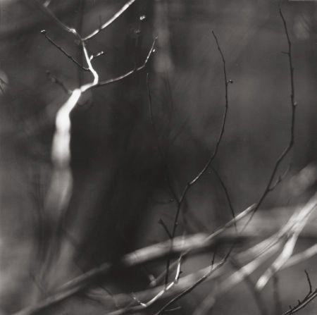 RALPH EUGENE MEATYARD (American, 1925-1972) Unti: RALPH EUGENE MEATYARD (American, 1925-1972)Untitled, circa 1958Vintage gela