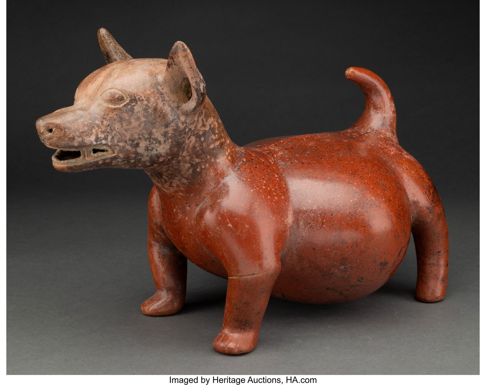 A Pregnant Colima Dog West Mexico, c. 250 BC - 250 AD: A Pregnant Colima Dog West Mexico, c. 250 BC – 250 AD Hollow earthenware with burnished red-brown slip on the body and brown on the head. Its plump wide body supported by short legs. Perked ears, op