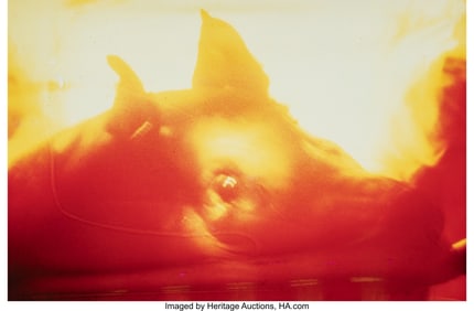 38004&colon; Miguel Rio Branco &lpar;Spanish&comma; b&period; 1963&rpar; Maita Clark