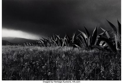 38035&colon; Flor Garduño &lpar;Mexican&comma; b&period; 1957&rpar; Magueyes&comma; Tulan