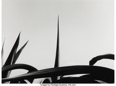 38036&colon; Mariana Yampolsky &lpar;American&comma; 1925-2002&rpar; Punta de