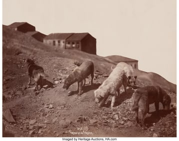 38051&colon; Pascal Sébah &lpar;Turkish&comma; 1823-1886&rpar; Groupe des ch