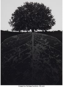 38142&colon; Jerry Uelsmann &lpar;American&comma; 1934-2022&rpar; Untitled &lpar;T