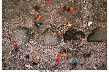 38082&colon; Paul Caponigro &lpar;American&comma; b&period; 1932&rpar; Fallen Origam