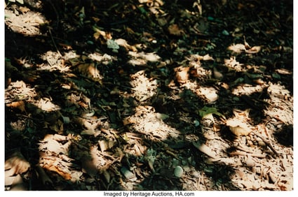 38186&colon; Marianne Mueller &lpar;Swiss&comma; b&period; 1966&rpar; Flickenlicht i