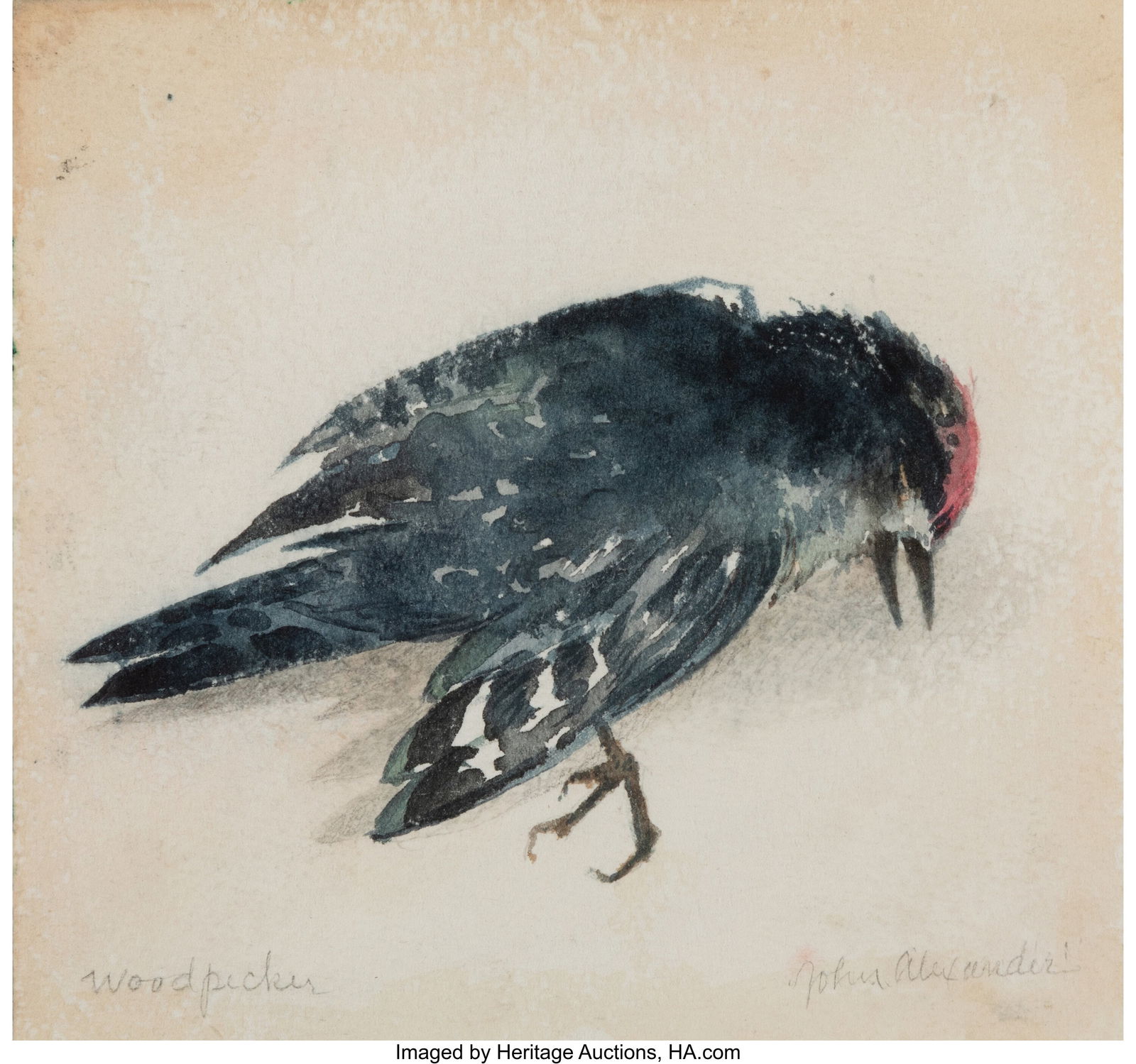 John Alexander (American, b. 1945) Woodpecker, 2: John Alexander (American, b. 1945) Woodpecker, 2001 Watercolor on paper 6-1/2 x 6-7/8 inches (16.5 x 17.5 cm) (sheet) Signed and