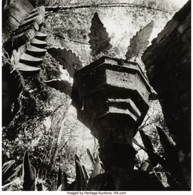 39050&colon; Graciela Iturbide &lpar;Mexican&comma; b&period; 1942&rpar; Jardin de E