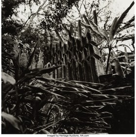 39052&colon; Graciela Iturbide &lpar;Mexican&comma; b&period; 1942&rpar; Jardin de E