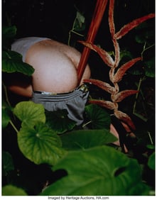 39091&colon; Naomi Fisher &lpar;20th century&rpar; Untitled &lpar;Furry Heli