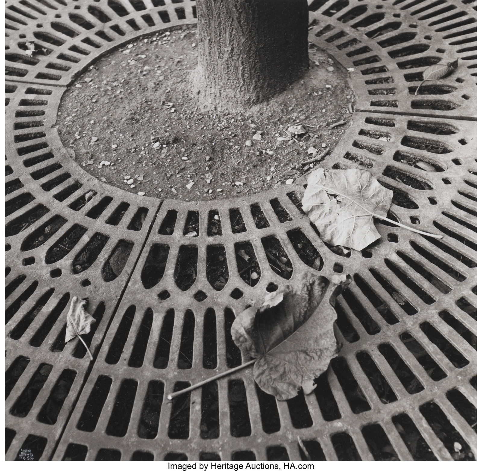 Ilse Bing (German/American, 1899-1998) Leaves on: Ilse Bing (German/American, 1899-1998) Leaves on Grating, Paris, 1952 Gelatin silver print, printed later 10-1/4 x 10-1/4 inches (26.0 x 26&pe