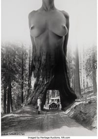 39074&colon; Alfred Gescheidt &lpar;American&comma; 1926-2012&rpar; Tree and 