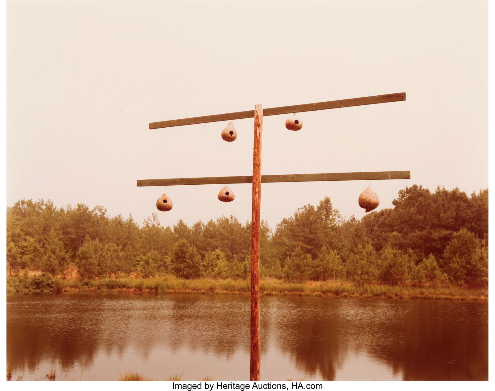 William Christenberry Jr. (American, 1936-2016): William Christenberry Jr. (American, 1936-2016) Gourd Tree, Perkins County, Alabama, 1979 Dye coupler print on Kodak paper 17-1/2 x 22 inches (44&peri
