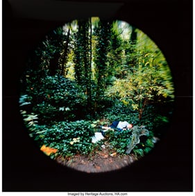 39119&colon; Mat Collishaw &lpar;British&comma; b&period; 1966&rpar; The Awakening o