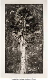 41035&colon; Jim Dine &lpar;b&period; 1935&rpar; The Pine in a Storm of Aquati