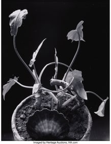 39038: Paul Caponigro (American, 1932-2024) Boston, 196