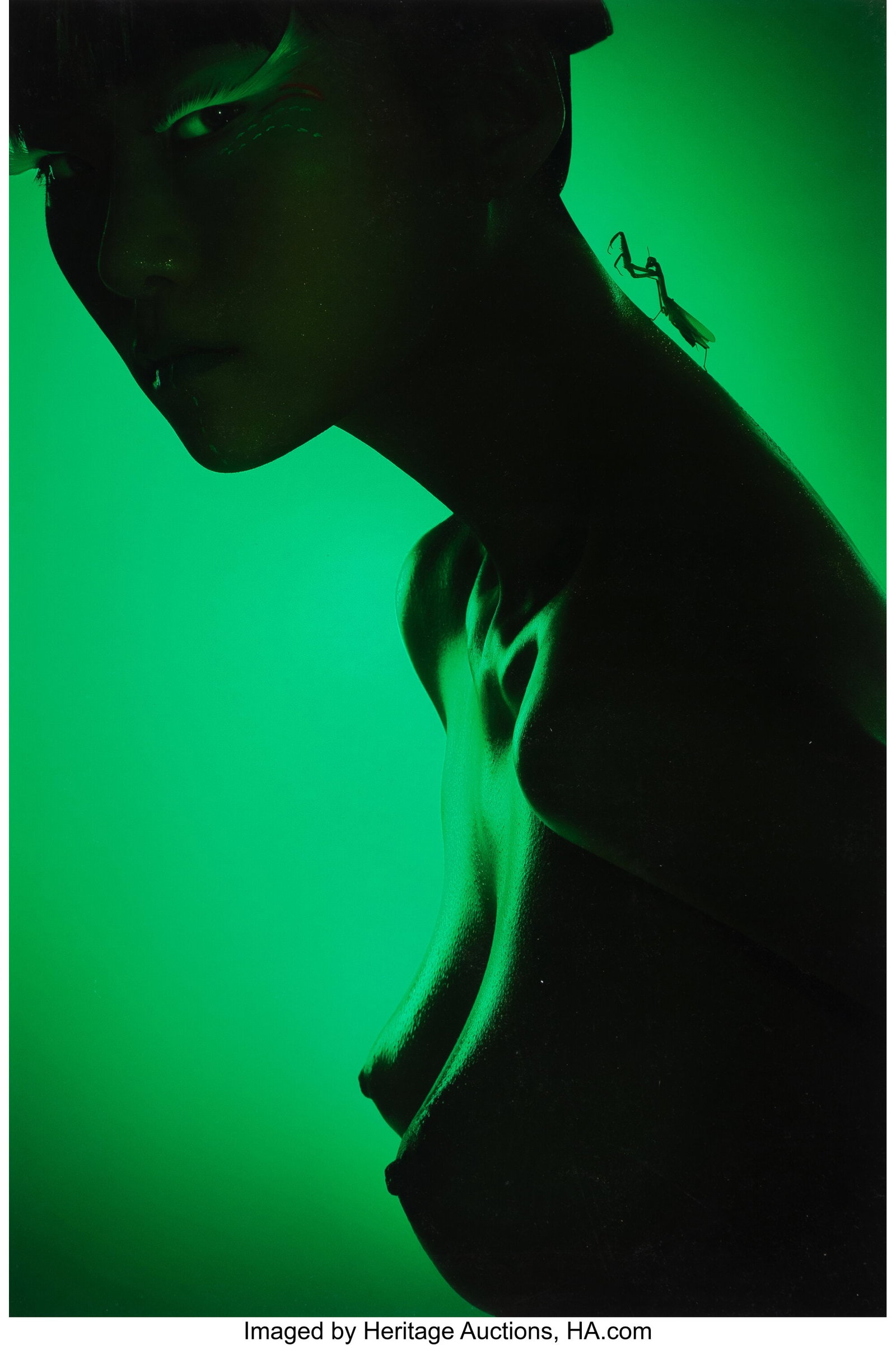 Yan Zhixiong (Chinese, b. 1979) Dark Fragrance N: Yan Zhixiong (Chinese, b. 1979) Dark Fragrance No. 5, 2006 Digital pigment print, printed 2006 39-1/4 x 26 inches (99.7 x 66.0 cm)