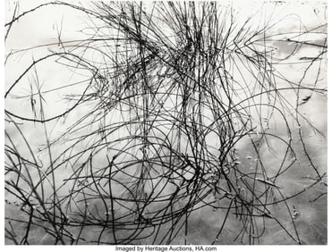 39058: Lucien Clergue (French, 1934-2014) Marais Camarg