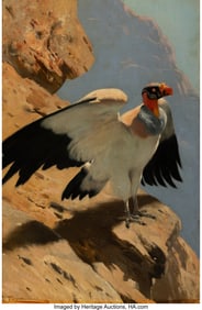 61224: Wilhelm Kuhnert (German, 1865-1926) King Vulture