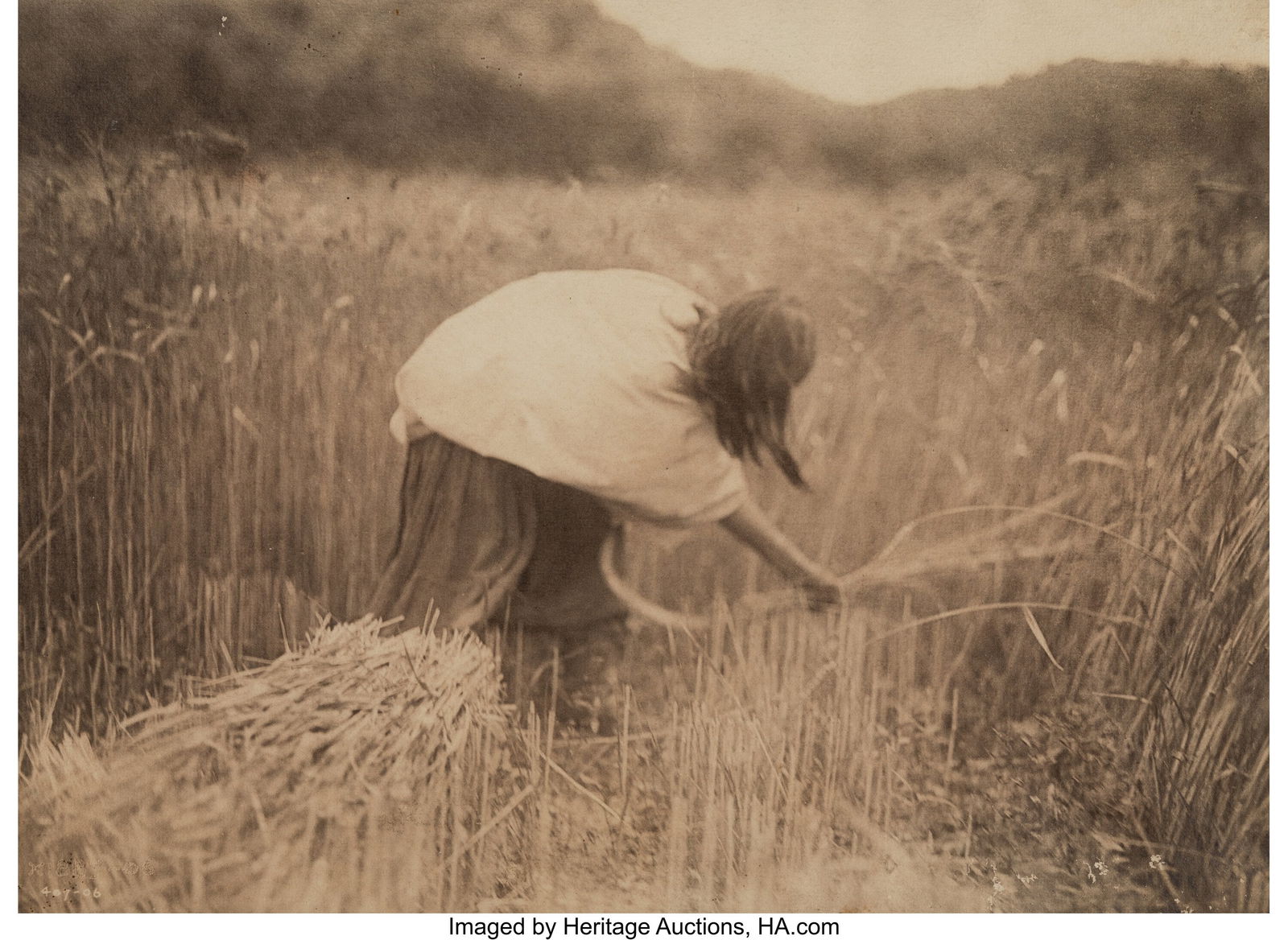 Edward Sheriff Curtis (American, 1868-1952) Apac: Edward Sheriff Curtis (American, 1868-1952) Apache Reaper, 1906 Platinum print 12-1/4 x 16-3/8 inches (31.1 x 41.5 cm) (image/sheet)