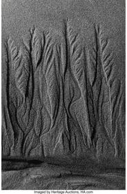 73134: Lucien Clergue (French, 1934-2014) Language des