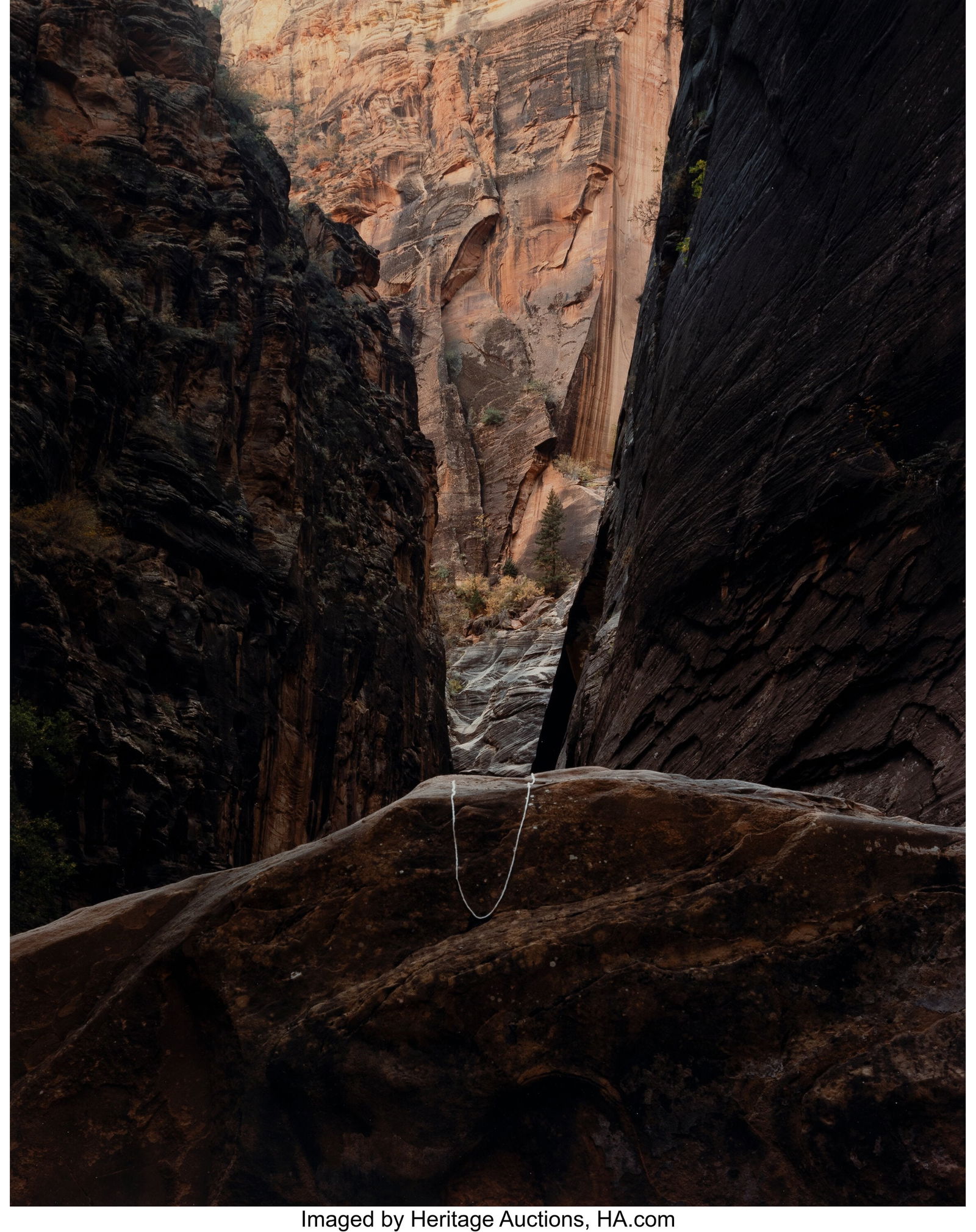 John Pfahl (American, 1939-2020) Canyon Point, Z: John Pfahl (American, 1939-2020) Canyon Point, Zion National Park, Utah, October, 1977 Dye coupler print on Kodak paper 18-1/4 x 14-1/4 inches (46&