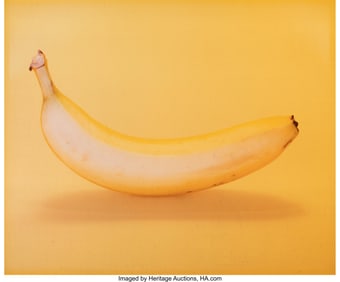 63048: Neil S. Winokur Banana 2002 Dye bleach print 39-