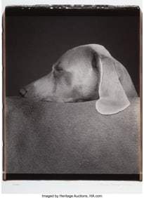 63050: William Wegman Saddle 2000 Unique Polaroid print