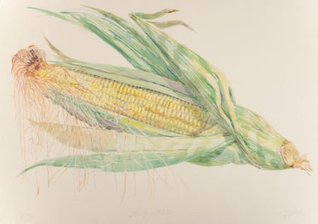 DON NICE (American, b. 1932) Pair: Big Corn; Ind: DON NICE (American, b. 1932)Pair: Big Corn; Indian Brook Falls, 1978Waterco