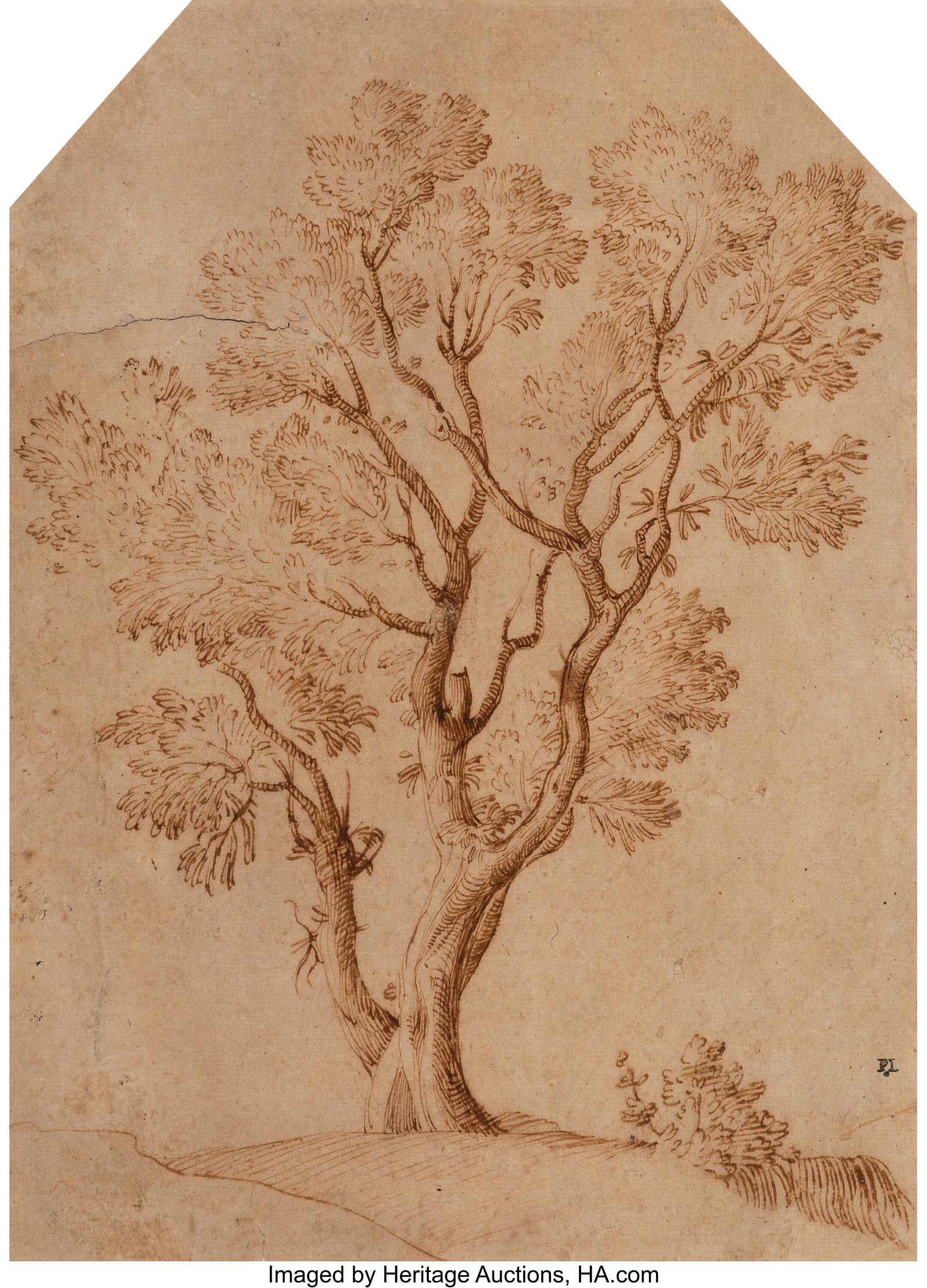 Attributed to Annibale Carracci (Italian, 1560-1: Attributed to Annibale Carracci (Italian, 1560-1609) Study of a tree on a hillside; Study of hands (double-sided work) Ink and red chalk on laid paper 9-7/8 x 7-1&so