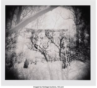 43201: Michael Kenna (b. 1953) Torri in Trees, Wakoto,