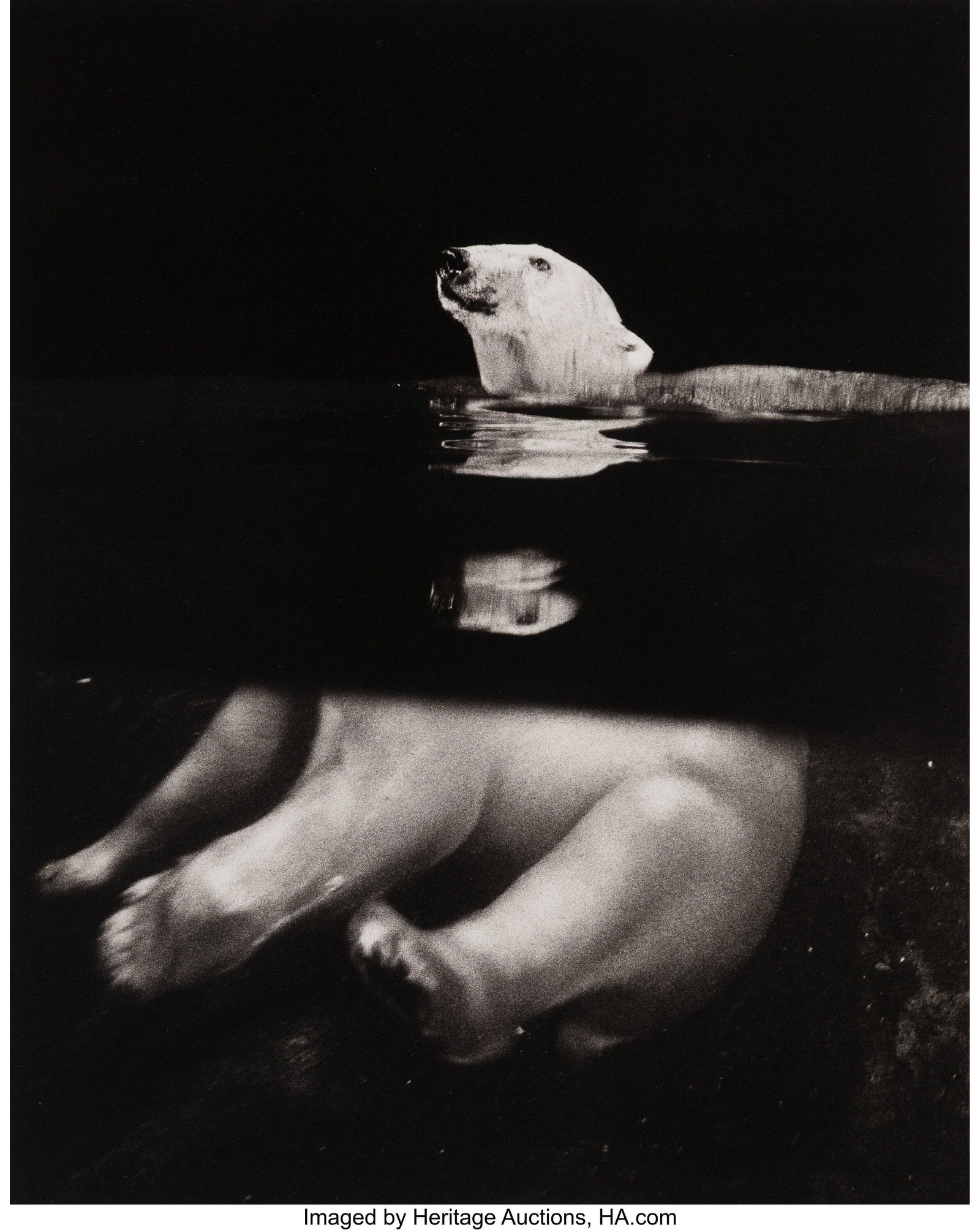 James Balog (American, 1952) Polar Bear, 1993 Pl: James Balog (American, 1952) Polar Bear, 1993 Platinum print 14 x 11-1/8 inches (35.6 x 28.3 cm) (image) 22 x 18-3/4 inches (sheet&