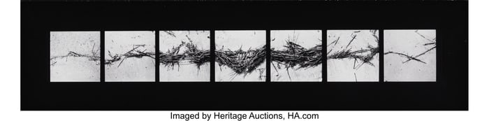 39112&colon; Barbara Crane &lpar;American&comma; b&period; 1928&rpar; Twigscape&comma; 197