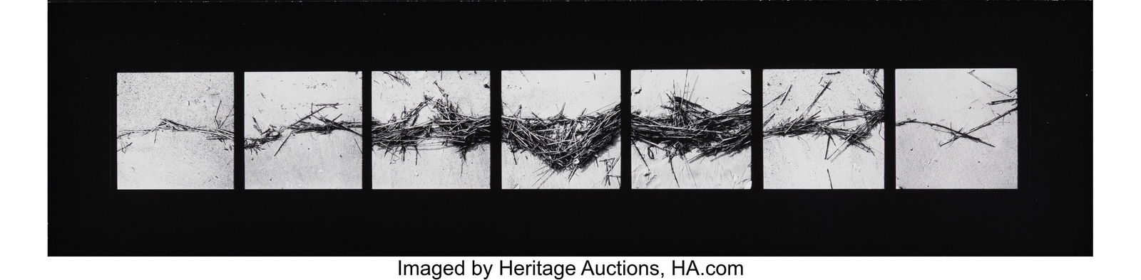 Barbara Crane (American, b. 1928) Twigscape, 197: Barbara Crane (American, b. 1928) Twigscape, 1971 Gelatin silver print, printed 1986 2 x 16-3/4 inches (5.1 x 42.5 cm) (image,
