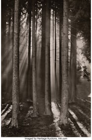 39039: Hermann Willenberg (German, 20th Century) Trees,