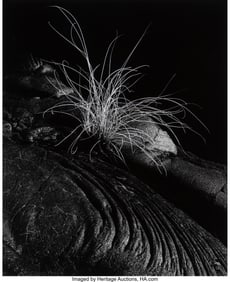 39040: Brett Weston (American, 1911-1993) Grass, Lava,
