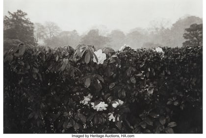 39049: Lee Friedlander (American, b. 1934) Kyoto, 1977