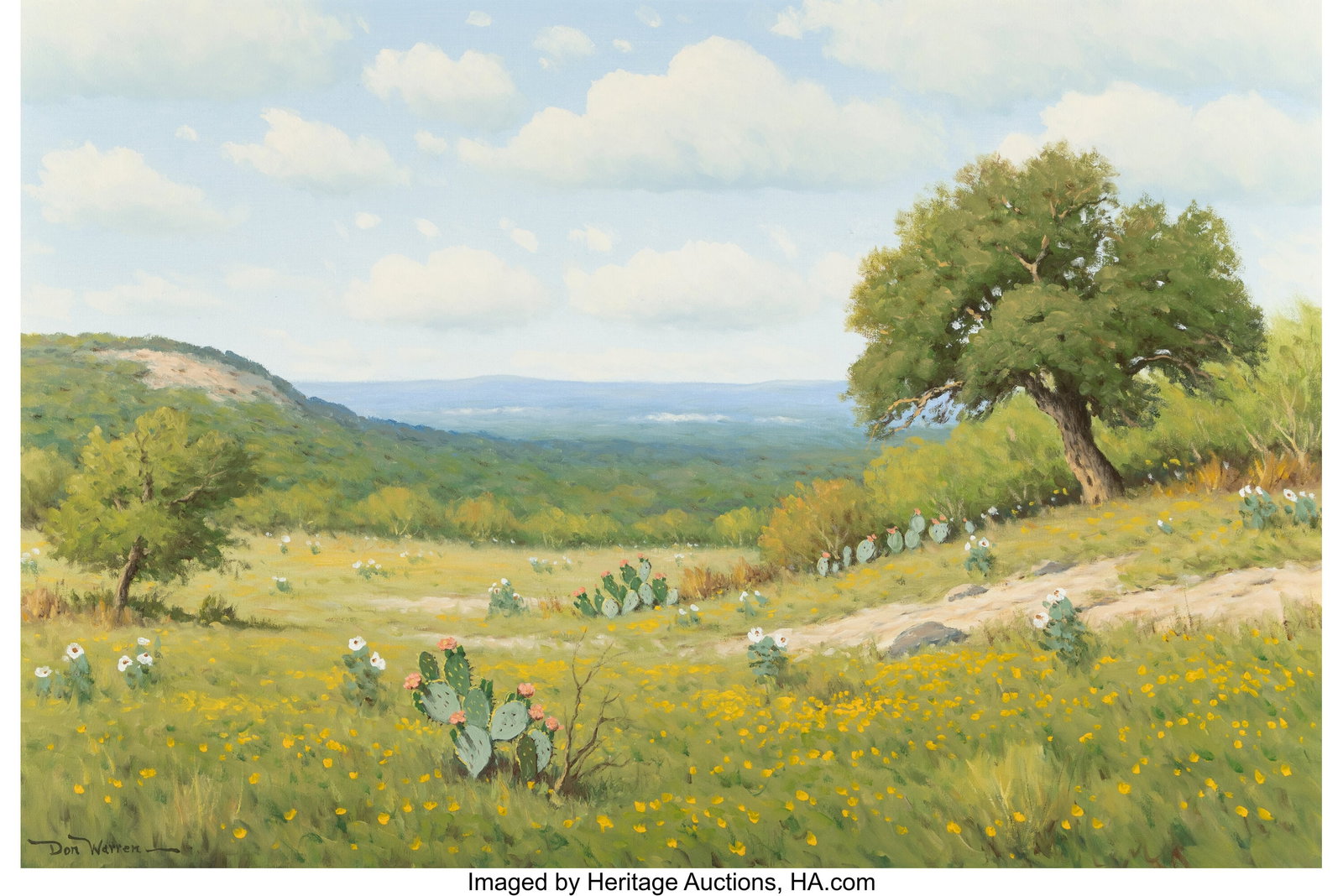 Don Warren (American, 1935-2006) Cactus Flowers : Don Warren (American, 1935-2006) Cactus Flowers in Bloom Oil on canvas 24 x 36 inches (61.0 x 91.4 cm) Signed lower left: Don Warren HID03101062020 ©