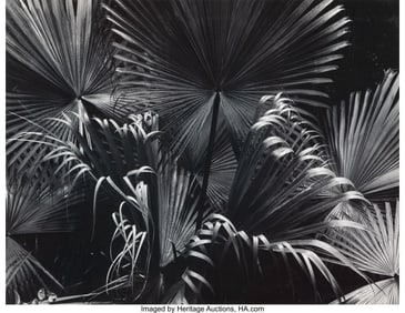 38094&colon; Johnny Donnels &lpar;American&comma; 1924-2009&rpar; A Delicate 