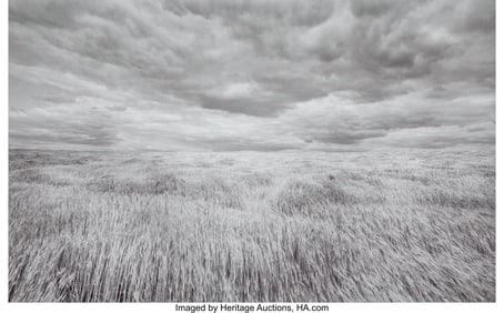 38095&colon; Lawrence McFarland &lpar;American&comma; 1942-2023&rpar; Wheatfi