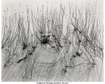 38070&colon; Brett Weston &lpar;American&comma; 1911-1993&rpar; Reeds in Sand